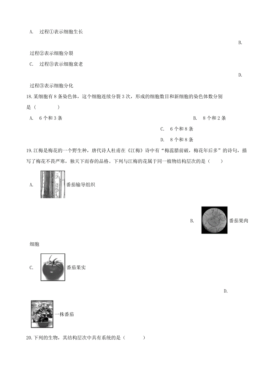 2020年中考生物一轮复习多细胞生物体的结构层次练习题_第4页