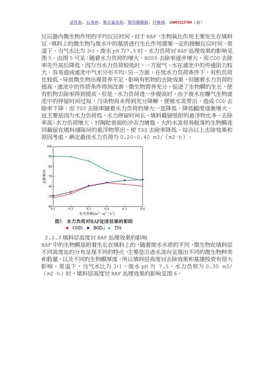 BAF深度处理造纸污水_第5页