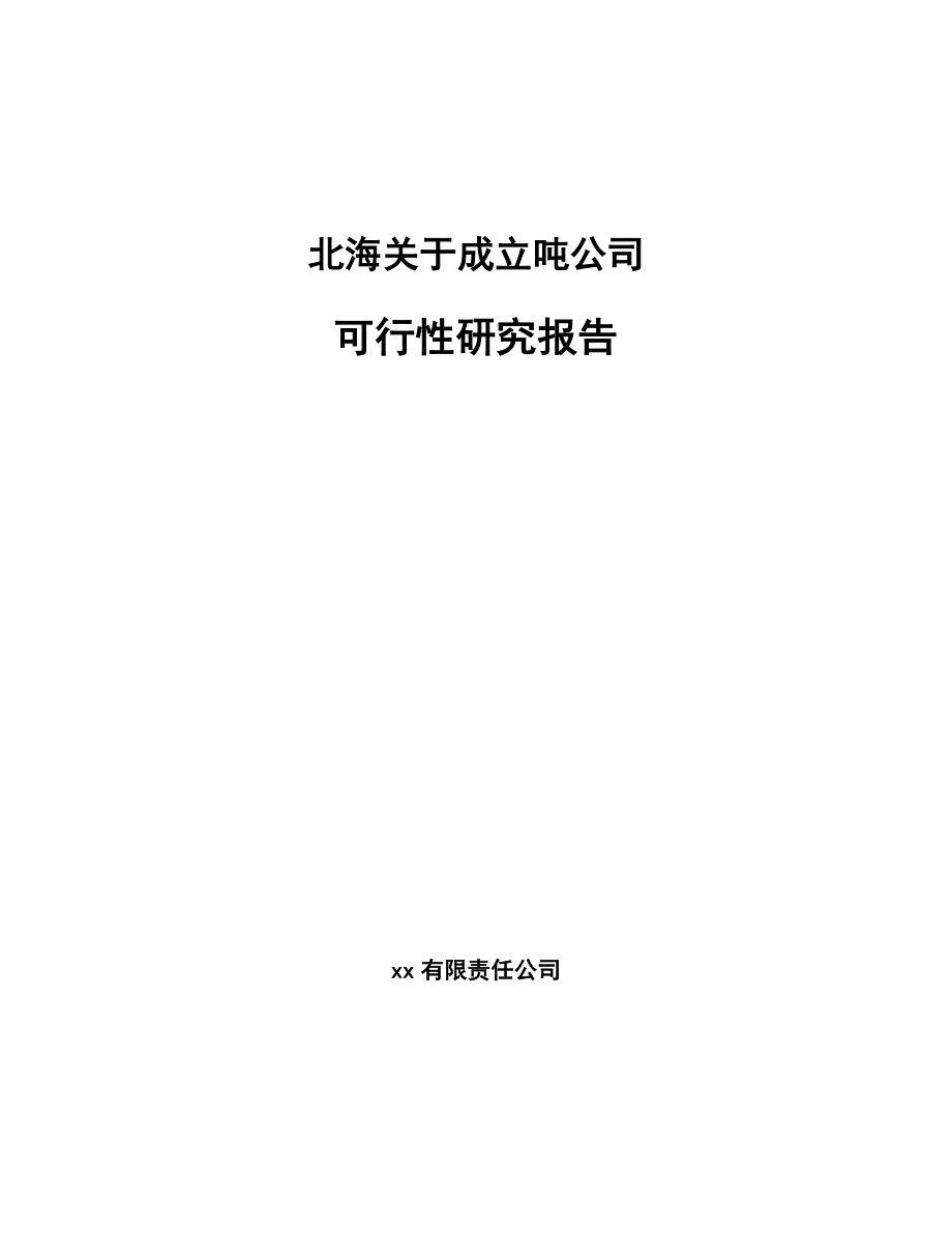 北海关于成立吨公司可行性研究报告_第1页