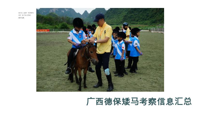 亲子农场小矮马项目德保矮马考察方案_第1页