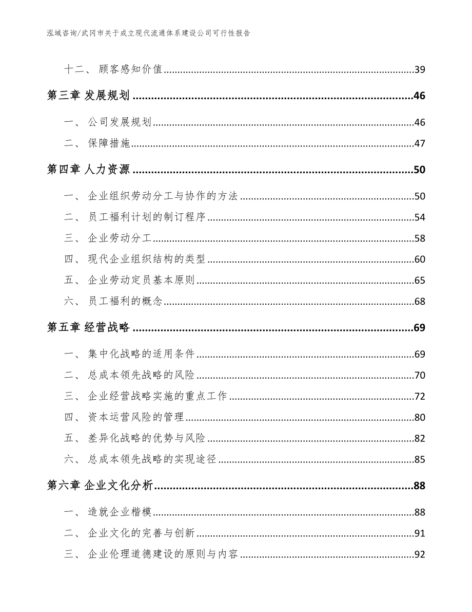 武冈市关于成立现代流通体系建设公司可行性报告_第2页