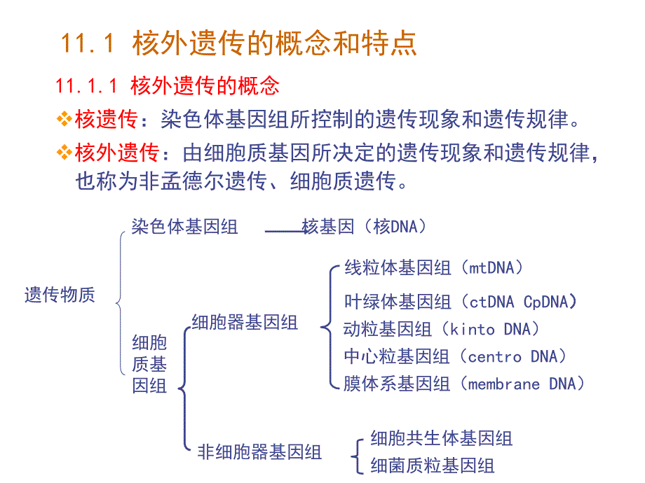 核外遗传教学课件_第3页