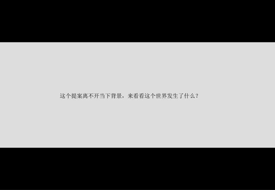 安徽九华山月松阁禅居项目推广策略 156页_第2页