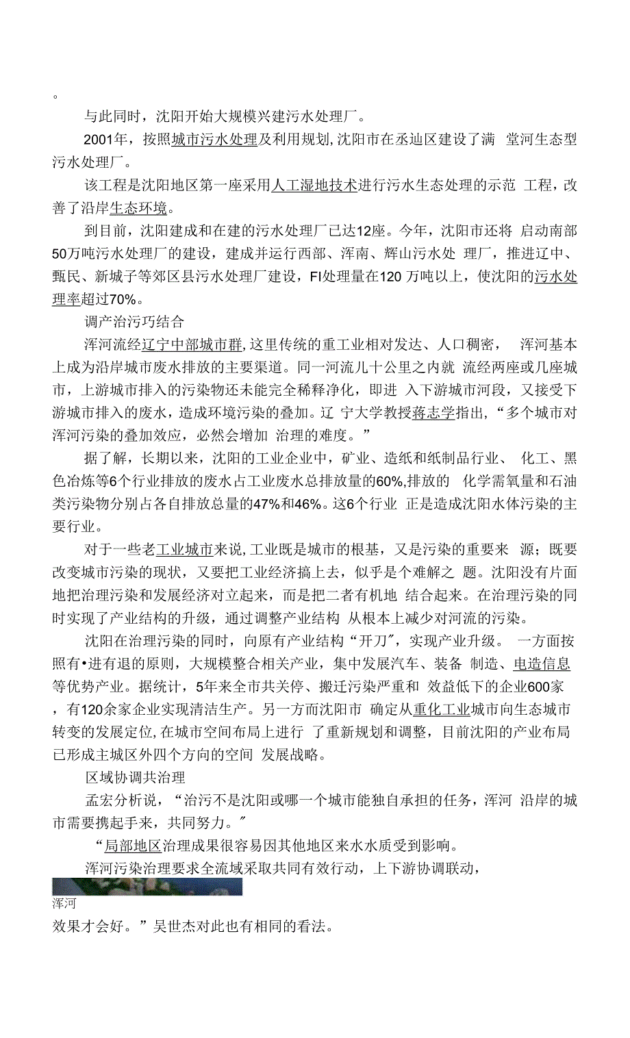 关于浑河水污染治理调查报告.docx_第4页