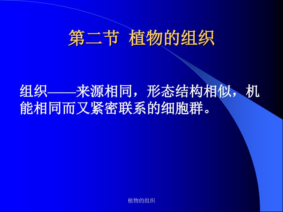 植物的组织课件_第1页