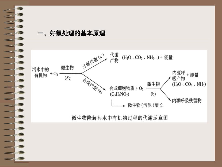 微生物处理废水原理及应用_第4页