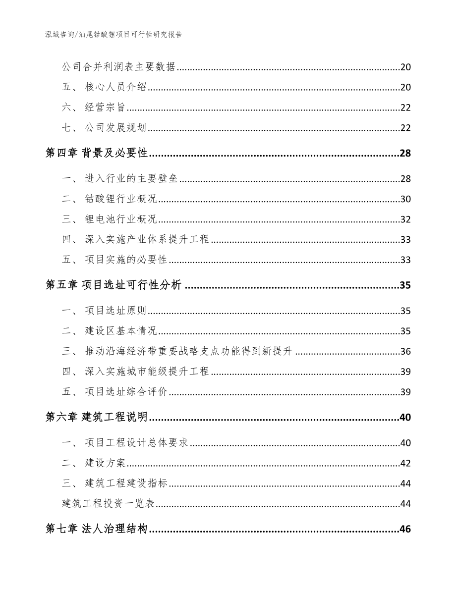 汕尾钴酸锂项目可行性研究报告（模板参考）_第2页