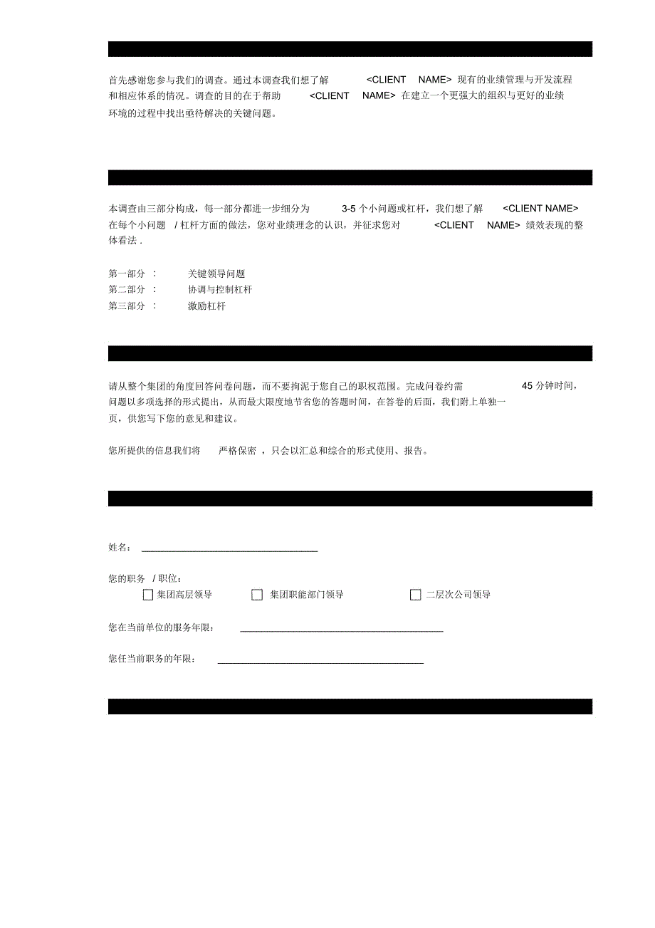 麦肯锡《业绩理念》调查问卷DOC页_第2页