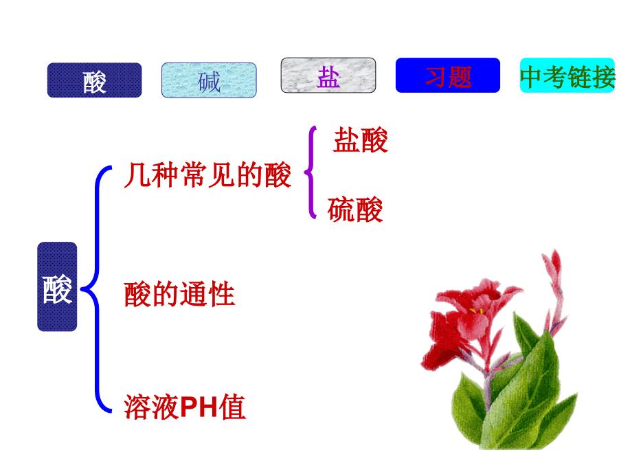 [初三理化生]中考化学专题复习：酸碱盐总复习_第2页