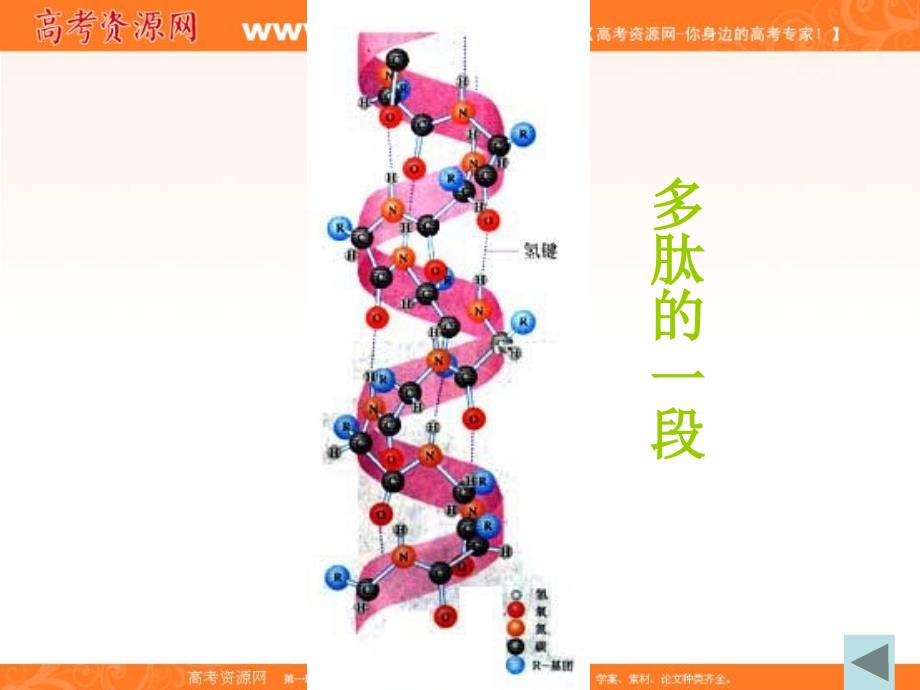 化学：132《蛋白质的性质》课件（新人教版选修1）_第3页