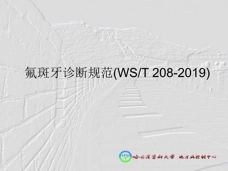 氟斑牙诊断标准王彩生ppt课件_第1页