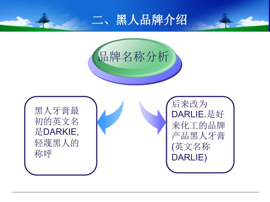 黑人牙膏产品分析PPT课件_第4页