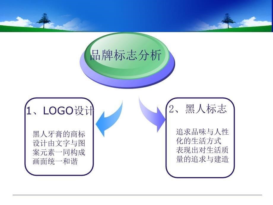 黑人牙膏产品分析PPT课件_第5页