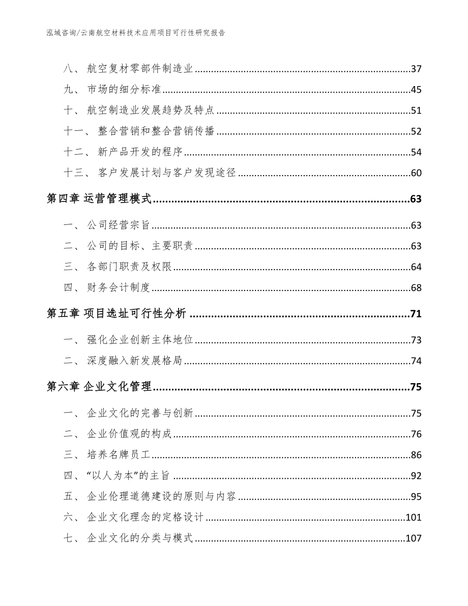 云南航空材料技术应用项目可行性研究报告_第2页