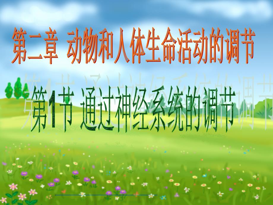 神经调节课件.ppt_第1页