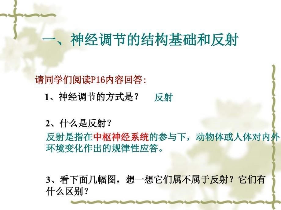 神经调节课件.ppt_第5页