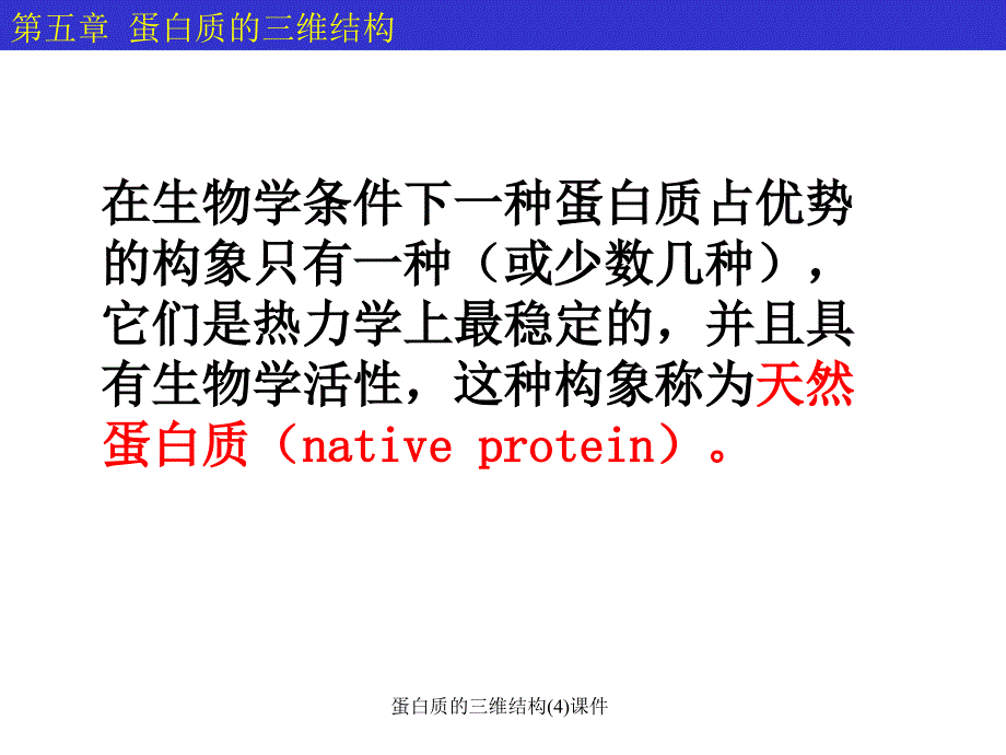 蛋白质的三维结构4课件_第2页