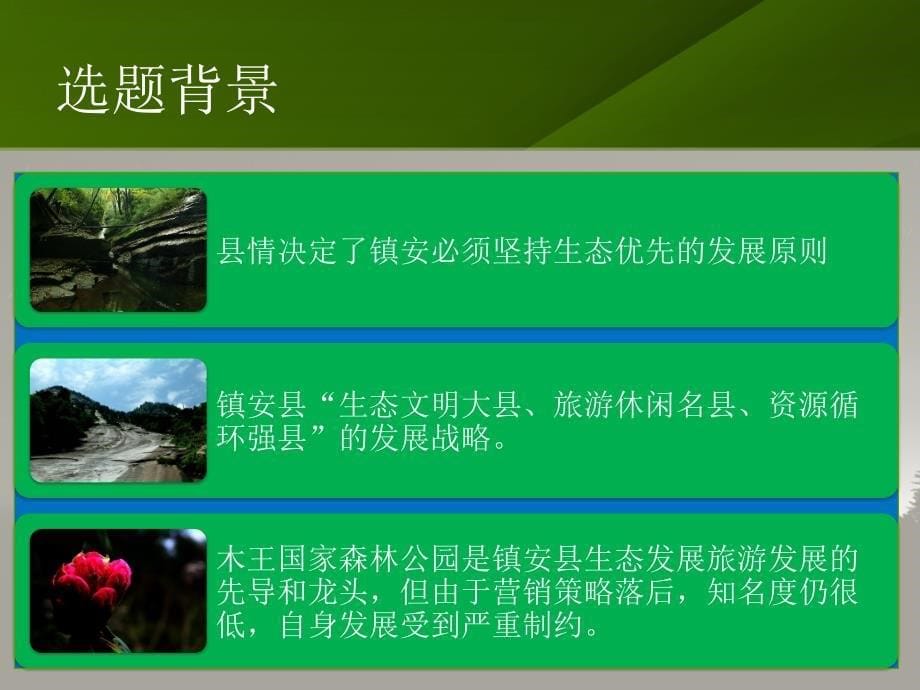 镇安县木王国家森林公园营销策略的探讨与研究_第5页