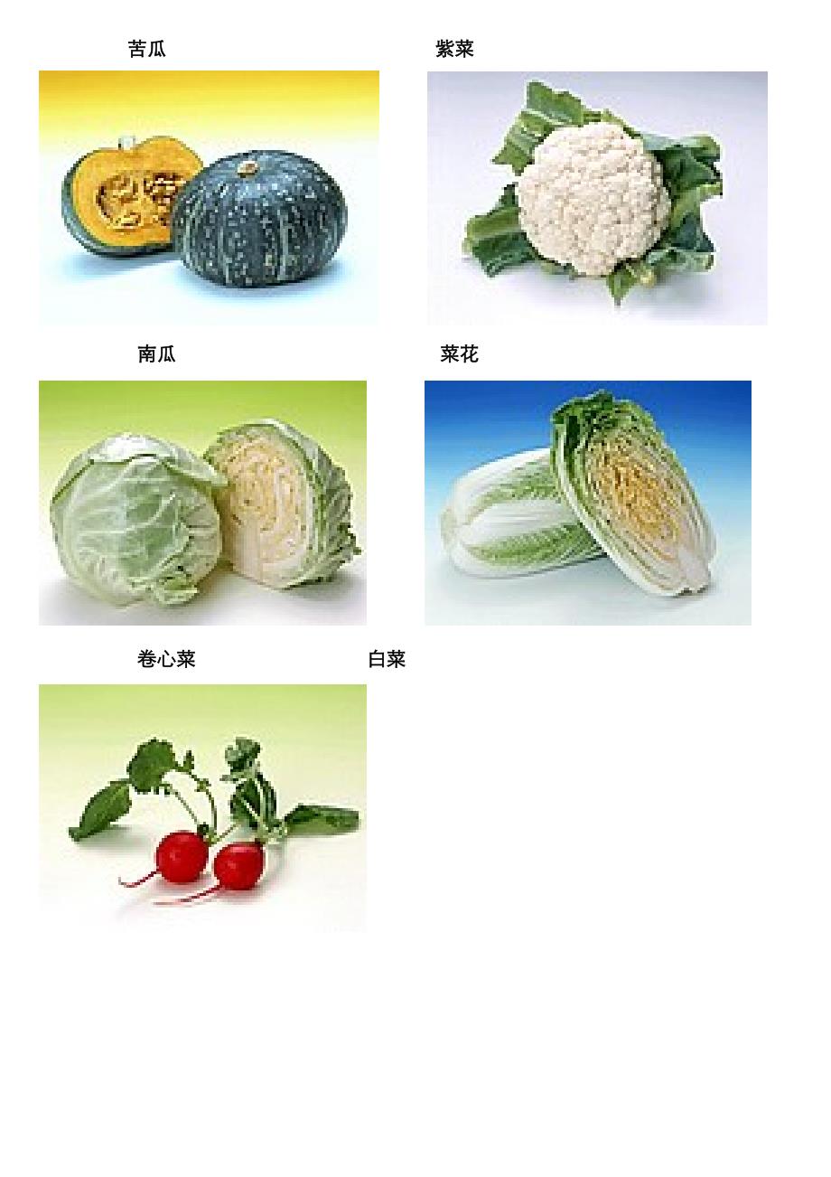蔬菜类(图片及名称)_第3页