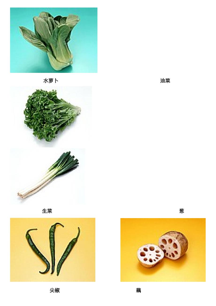 蔬菜类(图片及名称)_第4页