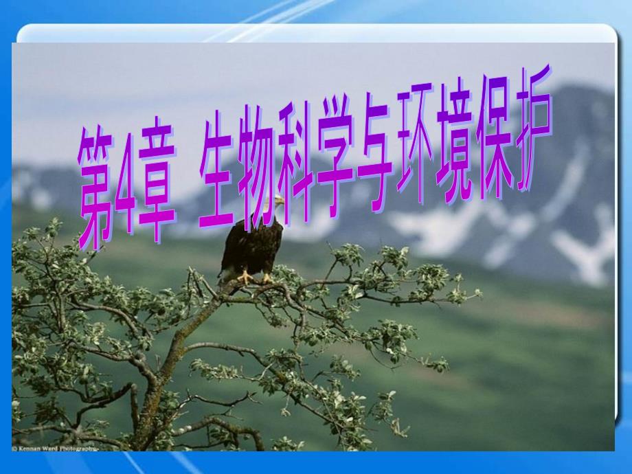 高中生物《关注生物资源的合理利用》课件一（24张PPT）（人教版选修2）_第3页