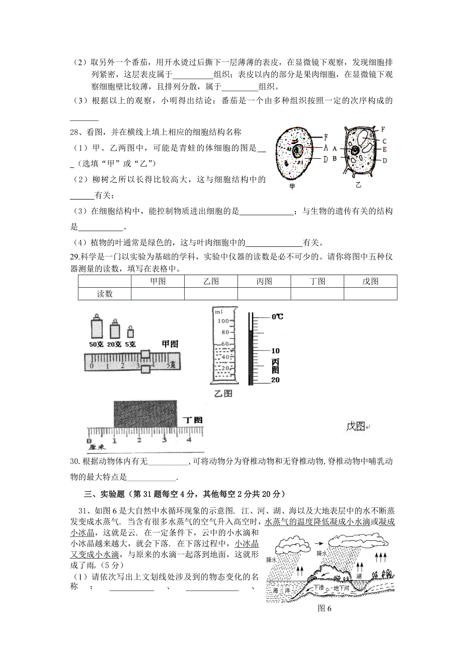 七年纪科学期末试卷_第4页