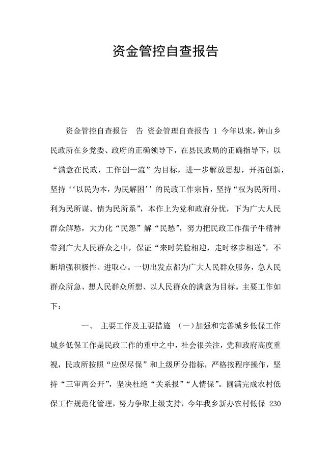 资金管控自查报告.docx