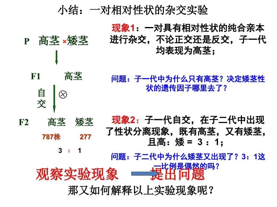 11孟德尔的豌豆杂交实验一用_第5页