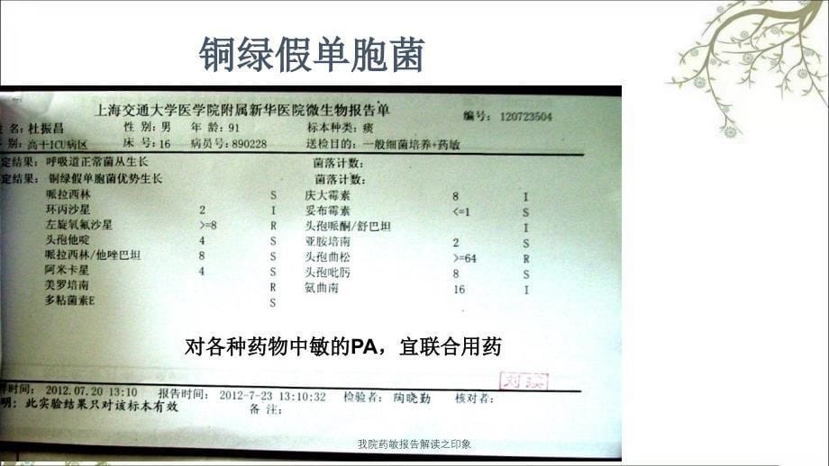 我院药敏报告解读之印象_第5页