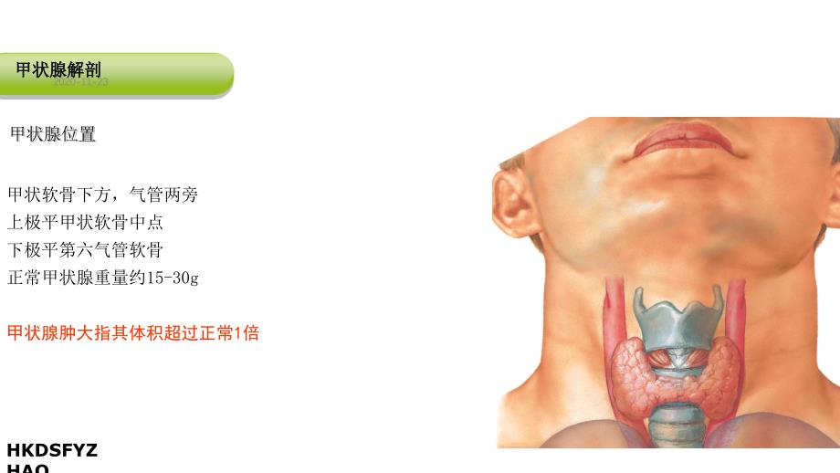 (2020年)甲状腺结节的诊断(课件)_第4页