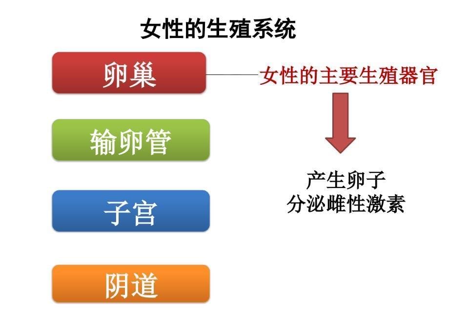 苏教版七年级下册生物第一节精卵结合孕育新的生命课件_第5页