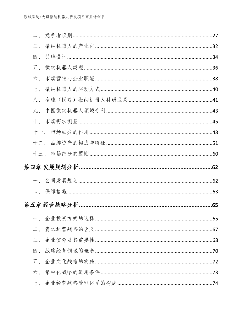 大理微纳机器人研发项目商业计划书_模板范文_第3页