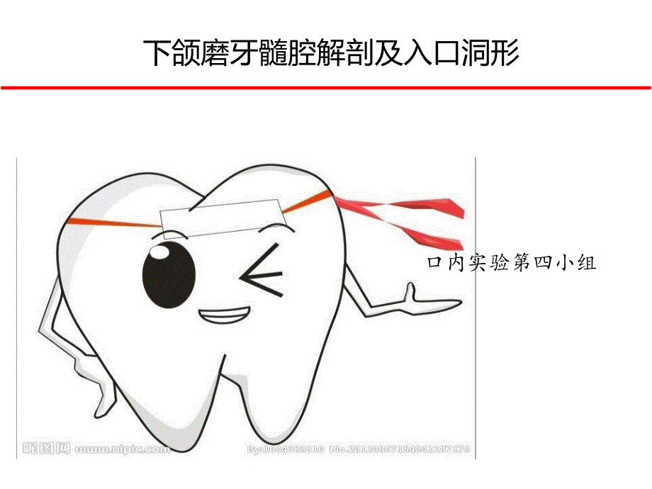 下颌磨牙髓腔解剖及开髓_第1页