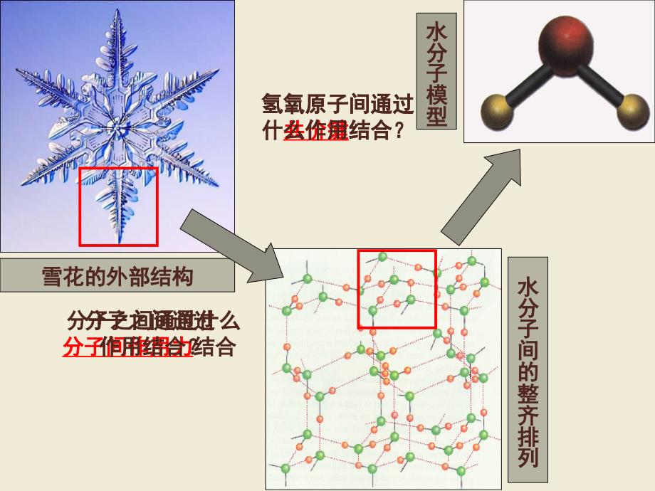 福州格致中学鼓山校区林珽霖指导教师林水啸_第3页