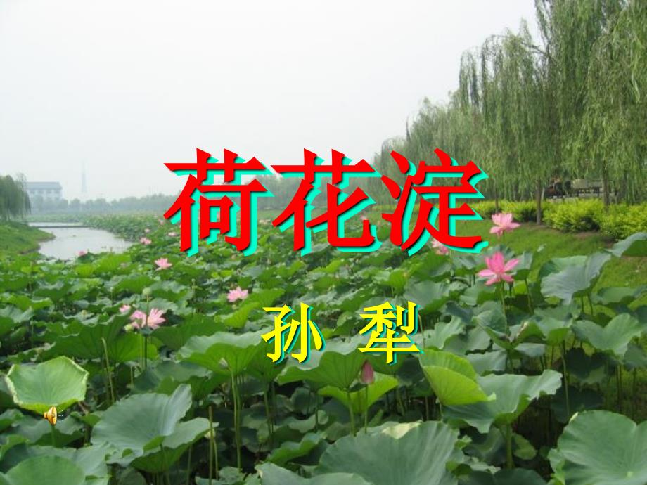 荷花淀课件.ppt_第1页