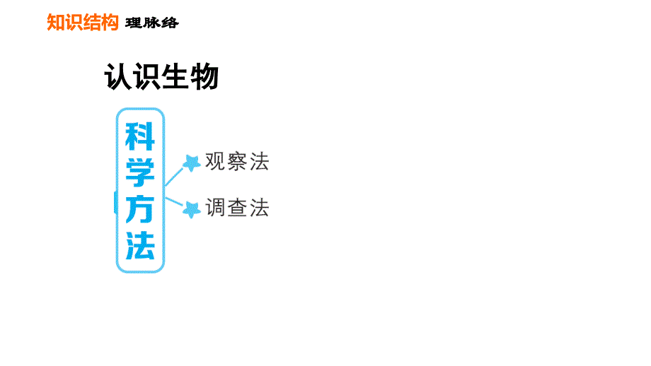 人教版七年级上册生物课件 第一单元 第一章巩固强化复习_第2页