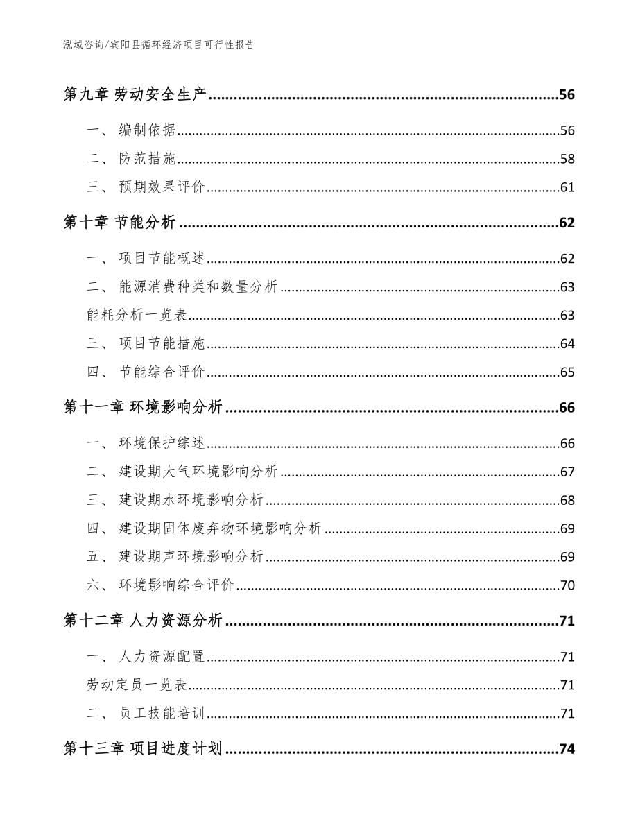 宾阳县循环经济项目可行性报告_参考模板_第5页