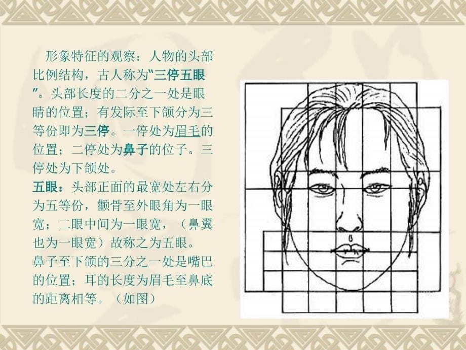 人物素描基础知识.ppt_第5页