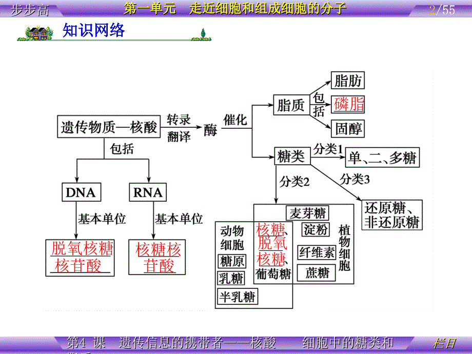 2.4细胞中的糖类和脂质课件李广梅_第2页