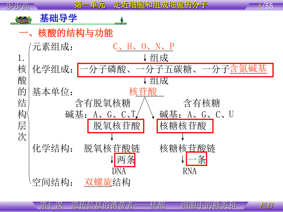 2.4细胞中的糖类和脂质课件李广梅_第4页