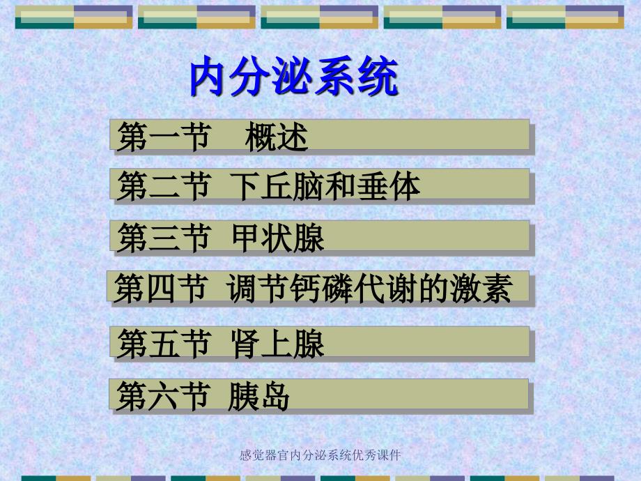 感觉器官内分泌系统优秀课件_第2页