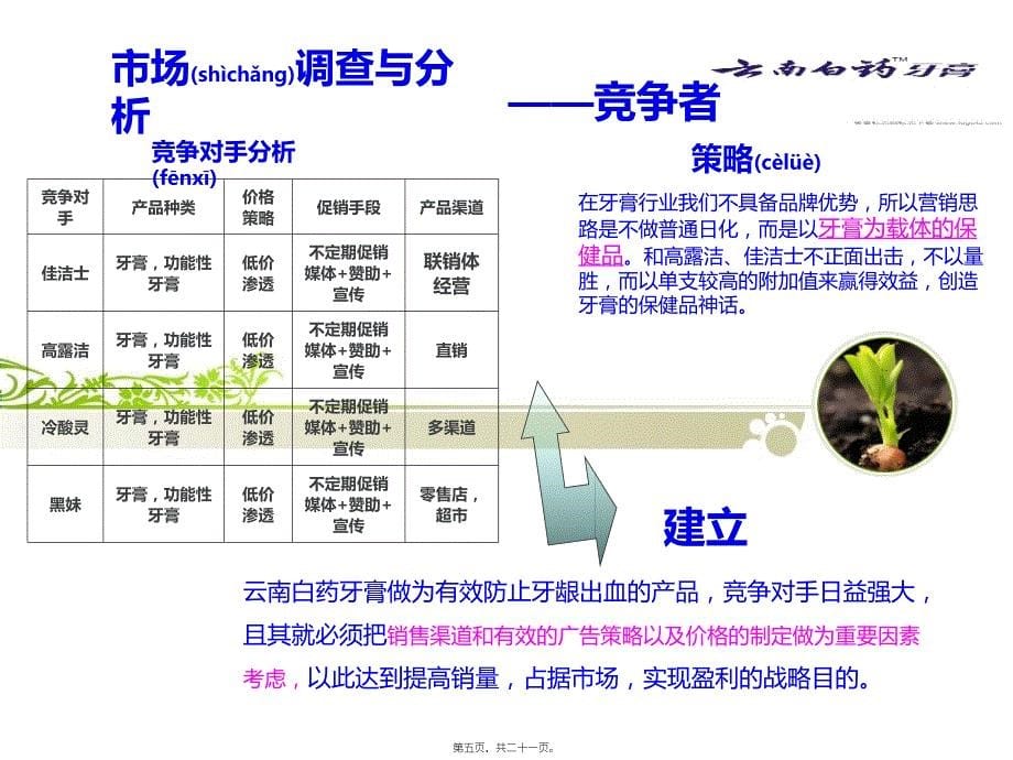 医学专题—云南白药牙膏新品上市PPT精讲_第5页