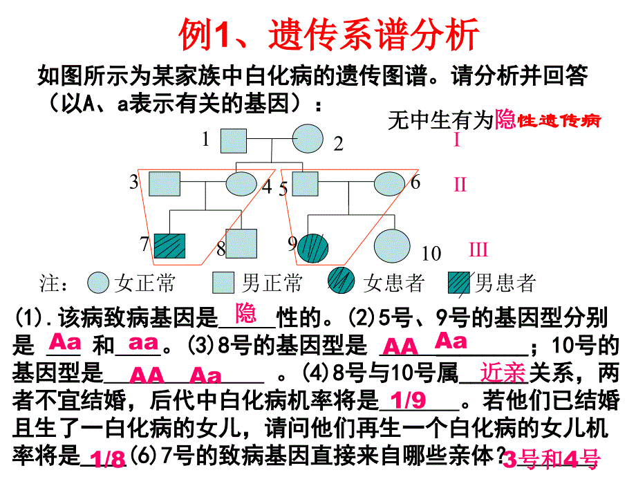 基因分离定律第四课时_第3页