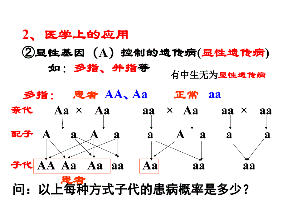 基因分离定律第四课时_第4页