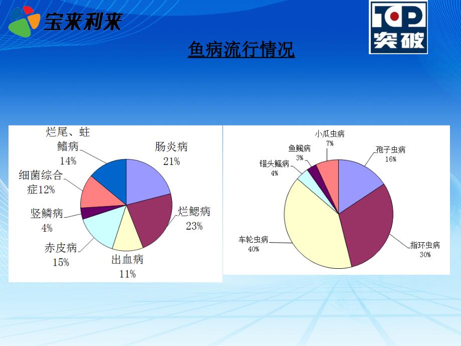 鱼病防控心得分享课程课件_第3页