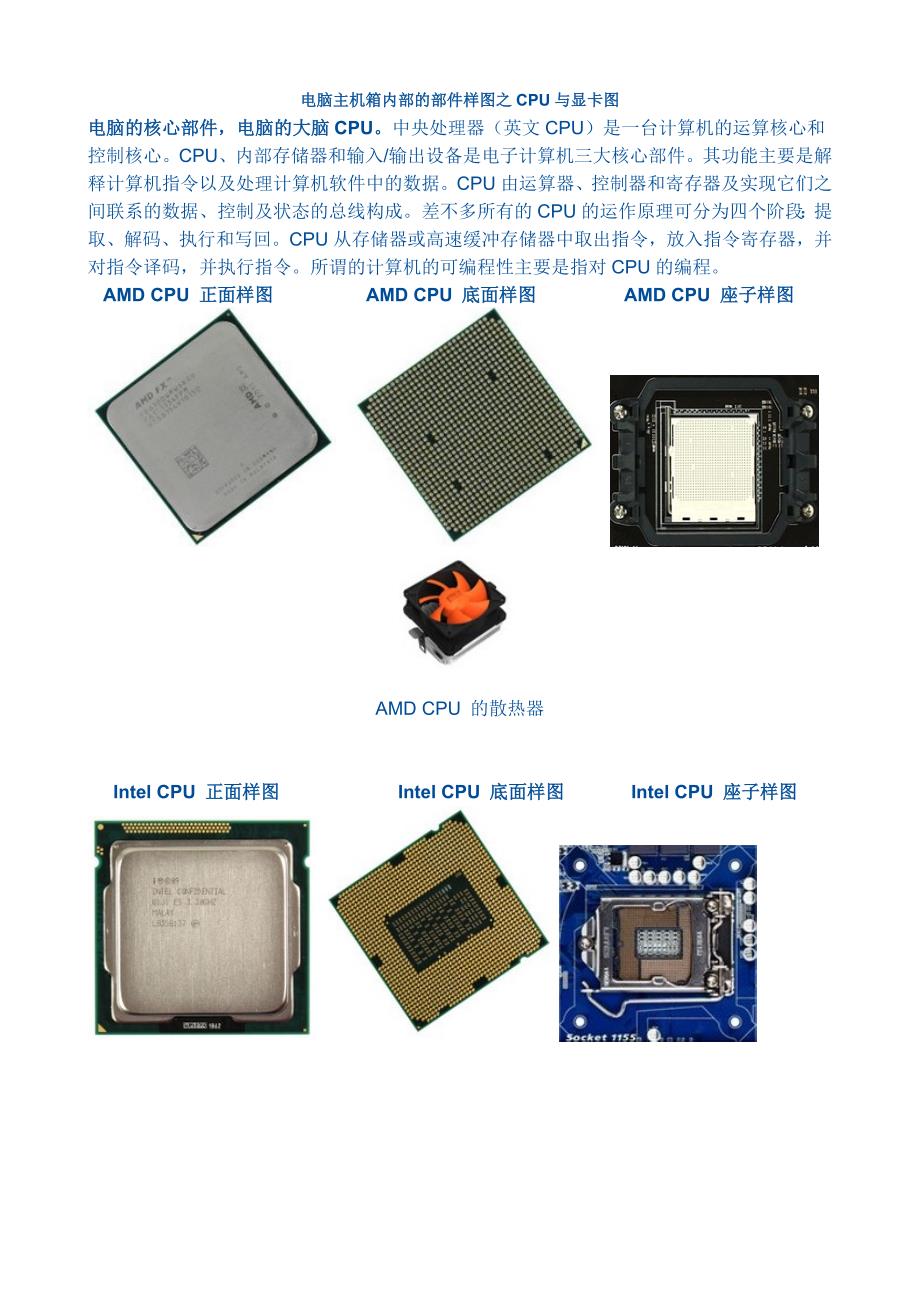 电脑主机箱的部件样图之CPU与显卡图.doc_第1页