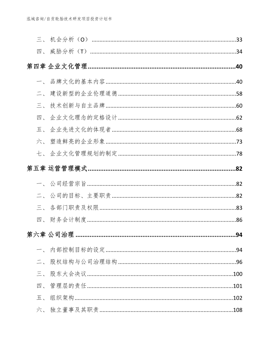 自贡轮胎技术研发项目投资计划书（模板范文）_第2页