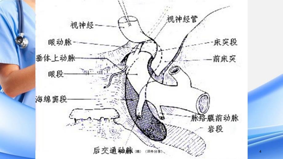 鞍区解剖精课件分享_第4页