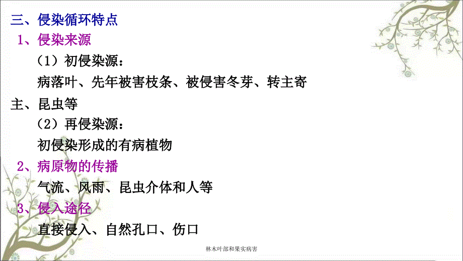 林木叶部和果实病害课件_第2页