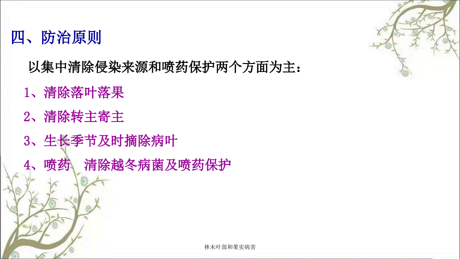 林木叶部和果实病害课件_第3页